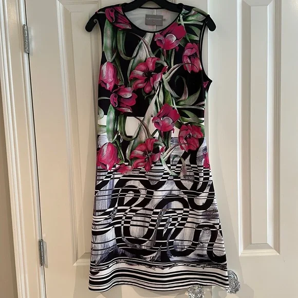 Clover canyon rose stripe dress - Picture 1 of 8